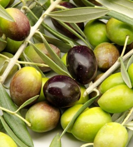 Chi Siamo olive slide